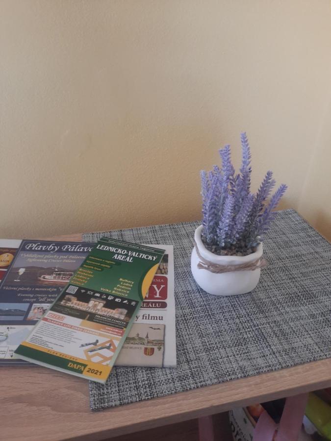 Apartman Sandra Valtice Exteriör bild